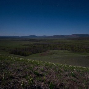 НОЧНОЙ ПРОГНОЗ от Татьяны Ивановой