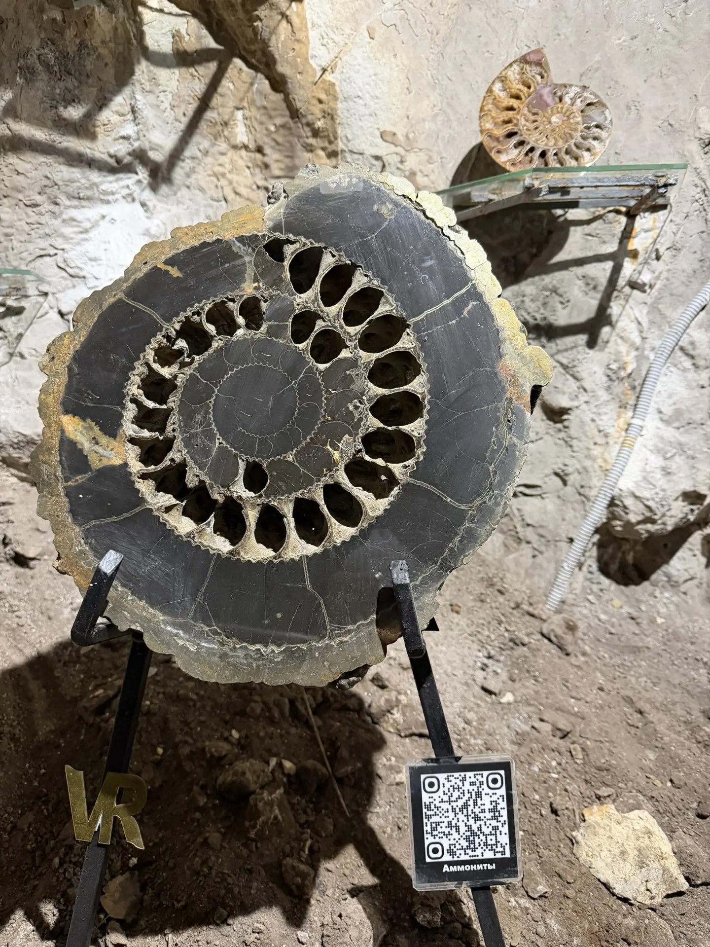 В Бородинской пещере открыли новую экспозицию "Таинственная" В Бородинской пещере открыли новую экспозицию "Таинственная"