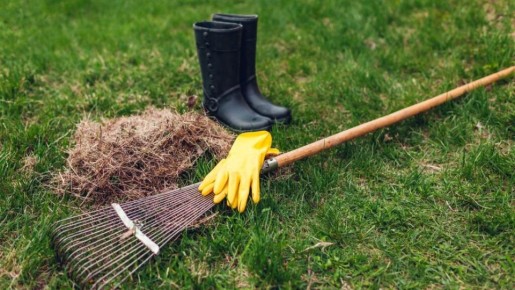 Весенний уход за газоном: 10 шагов к идеальному зеленому ковру
