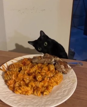 ������ ����, �������!