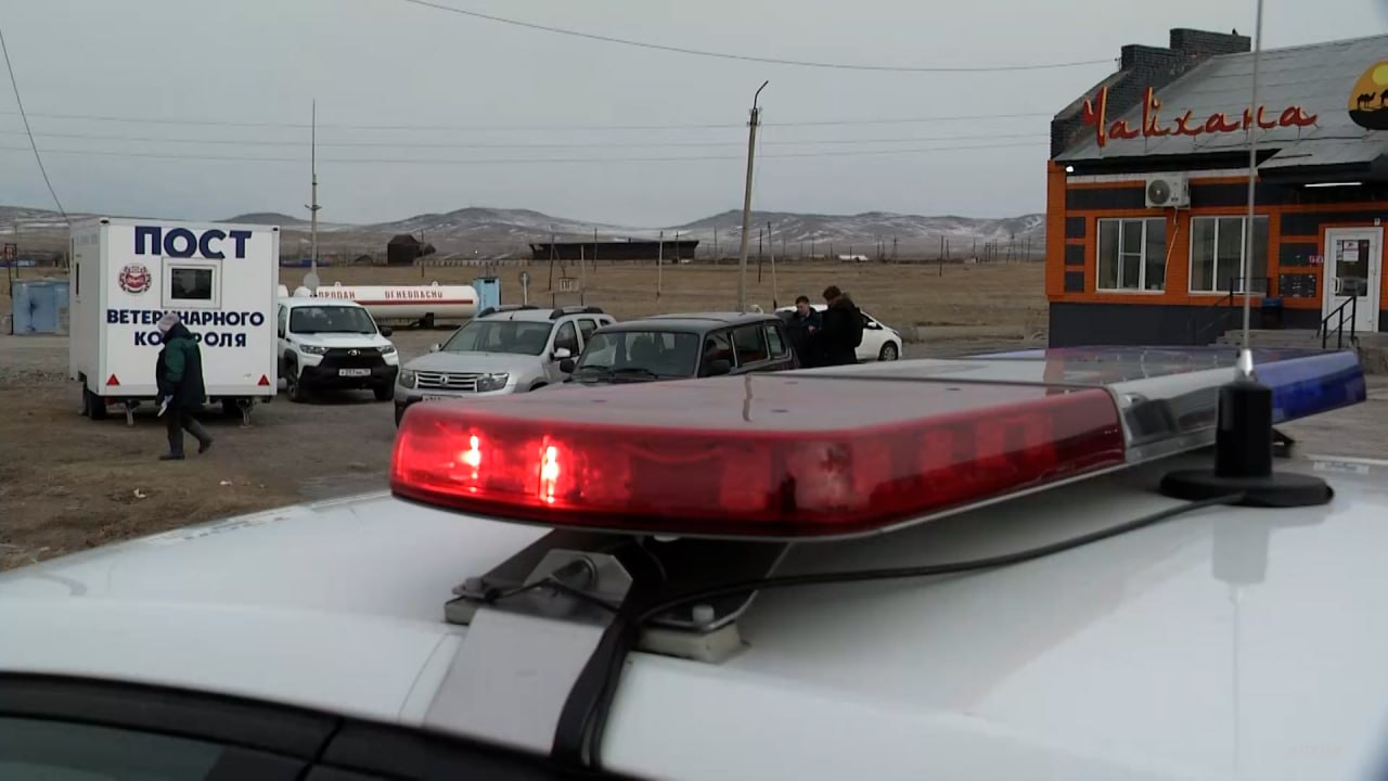 НА ТРАССЕ "ЕНИСЕЙ" РАБОТАЕТ МОБИЛЬНЫЙ ПУНКТ ВЕТКОНТРОЛЯ