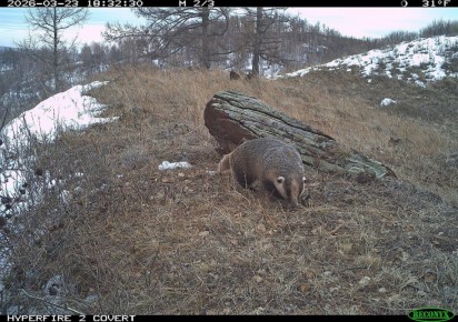 ������ �������� �� ��������: ������� ����� ������ � ����������� ���������� �����������