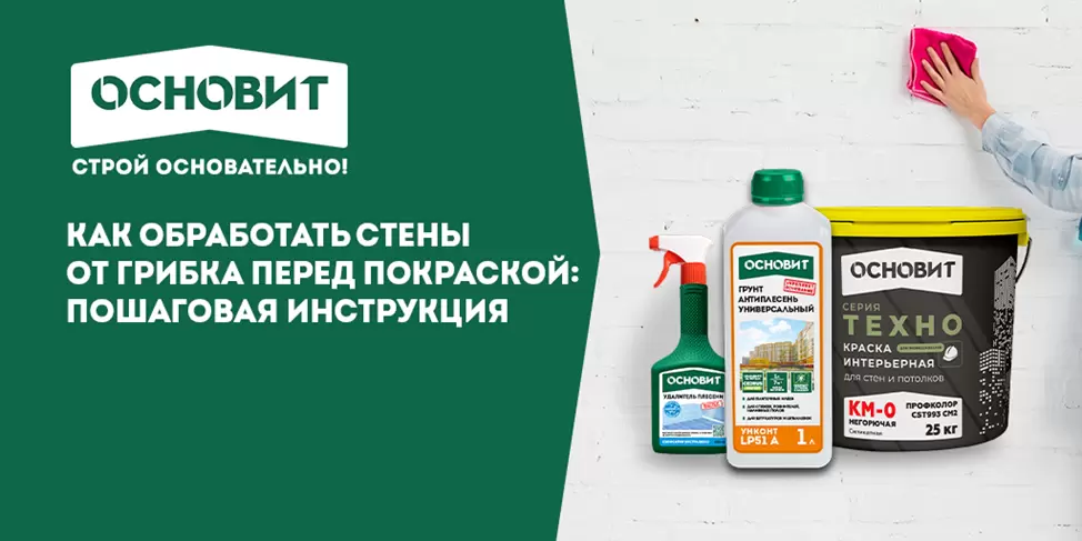 Как эффективно избавиться от грибка на стенах перед покраской: пошаговый гид