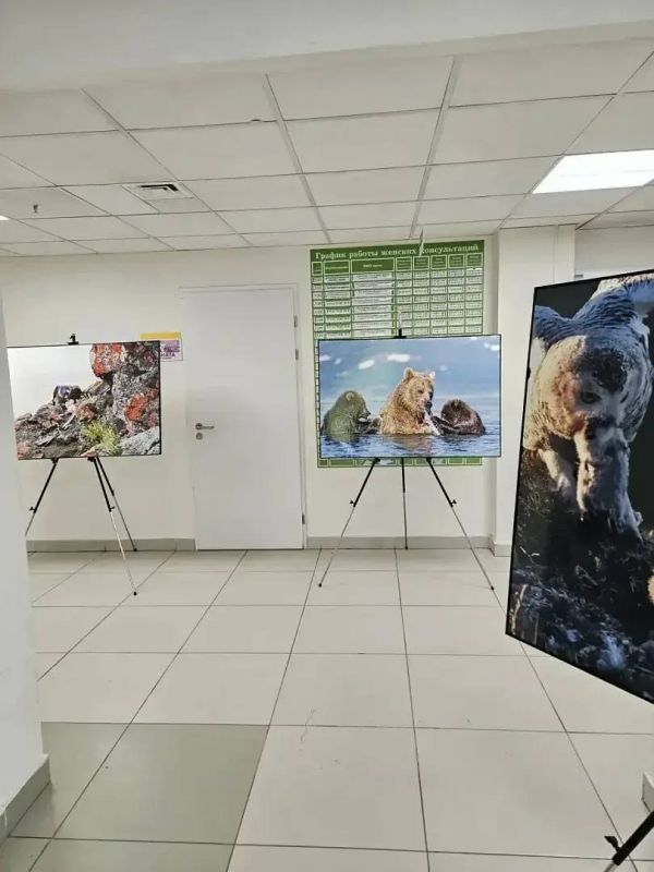 ��������������� ������������� ����� ������� ���������� �������� � ����� ��� ����������