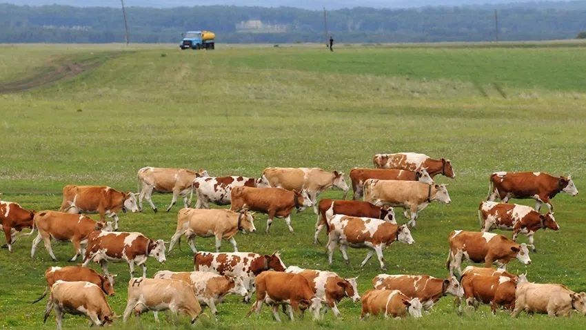 � ������� �������� ����� �����