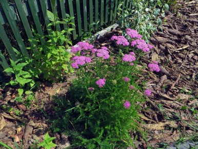 �������� ������ ���������������: ��� ����� ������� ������ ���� �����������������