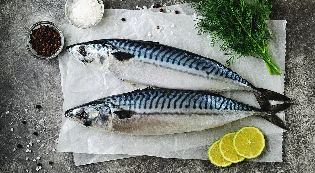 Пошаговый рецепт малосольной скумбрии
