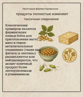 �����������: ��� ��������� �������� ���������� ����������� � ���������