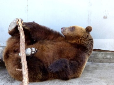 ���-���-���, ��������� ����������! ������� ��������� ������� ������� ���������� ����������� ��������