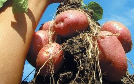 ������ �� ����� ���������� ����������� ���������: 3 ������ �������