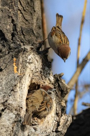 �������, 12 ������, �� ���������� ���� � ������, ���������� �����