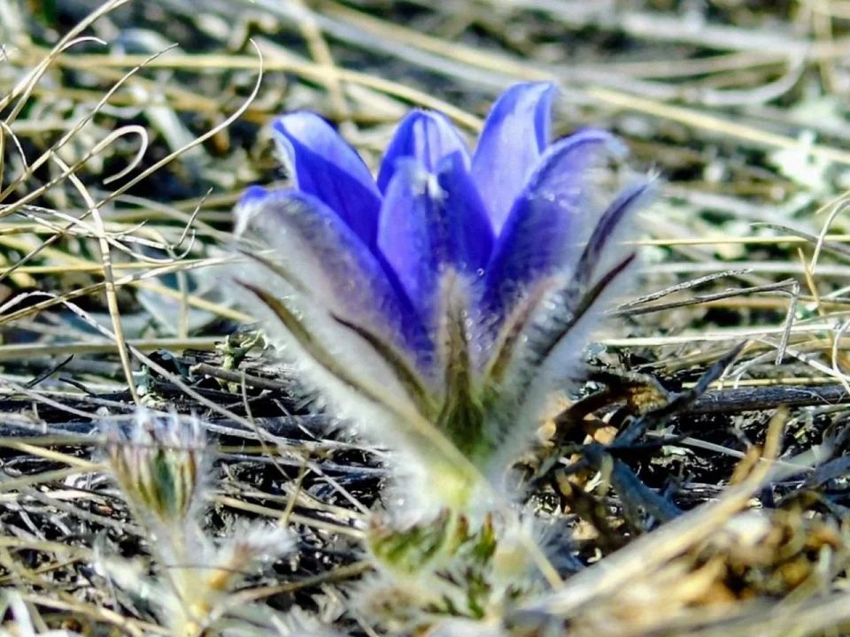 ������������� ��������� ���������� �� ��� ����