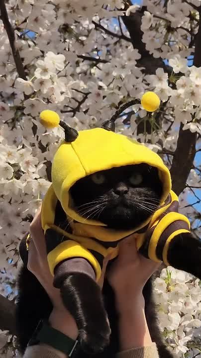 Доброе утро, Хакасия!