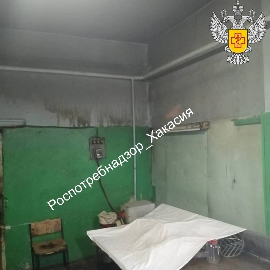 Владельца пекарни, продукцией которой отравились несколько человек в Коммунаре, обязали возместить расходы на лабораторные исследования Владельца пекарни, продукцией которой отравились несколько человек в Коммунаре, обязали возместить расходы на лабораторные исследования