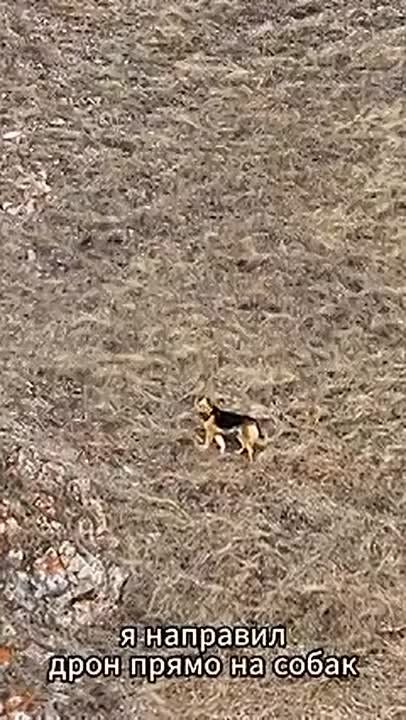 ������ �� ����� �������� ����� ���� ������������ �������� � ������� ������������