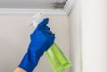 Как избавиться от плесени на потолке: практические советы