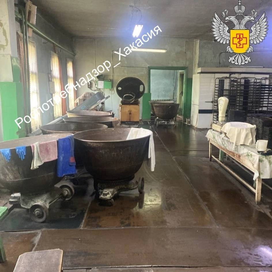 Владельца пекарни, продукцией которой отравились несколько человек в Коммунаре, обязали возместить расходы на лабораторные исследования Владельца пекарни, продукцией которой отравились несколько человек в Коммунаре, обязали возместить расходы на лабораторные исследования