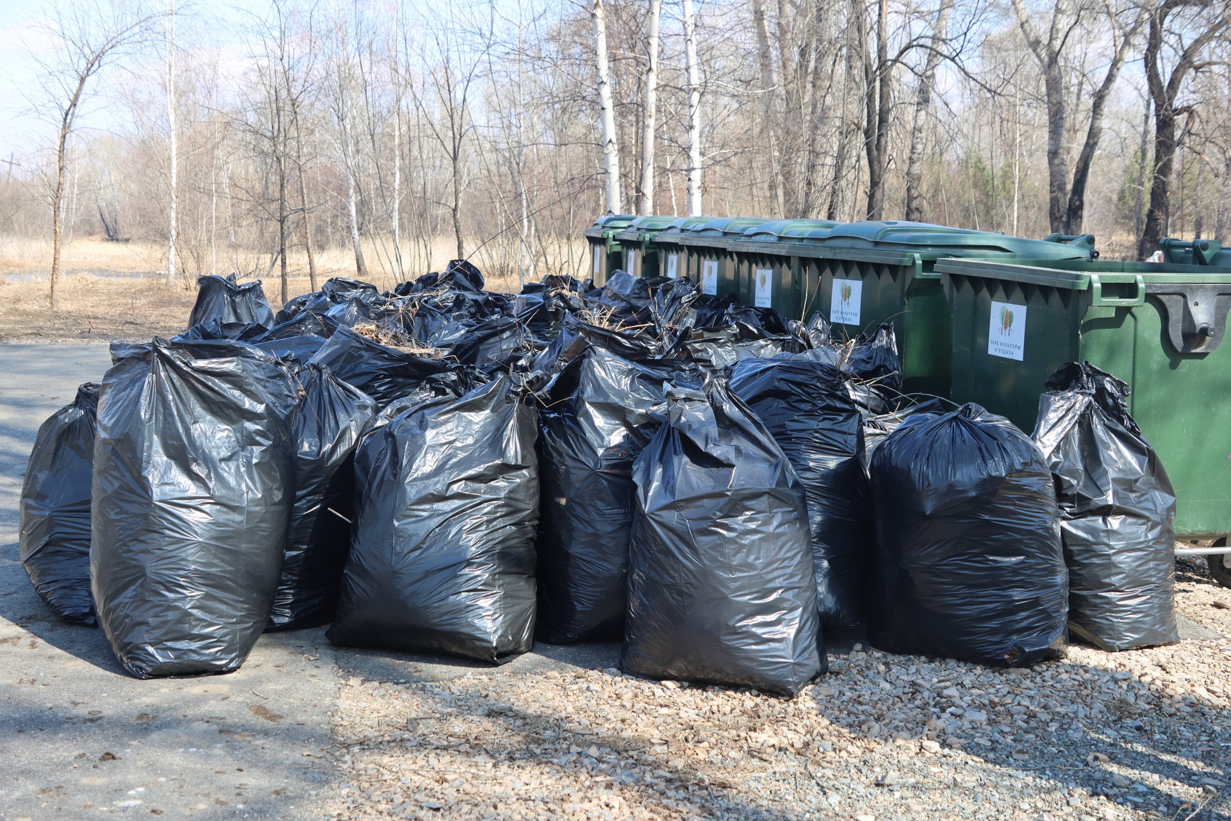 Генеральная уборка Абакана: субботник в ПКиО Генеральная уборка Абакана: субботник в ПКиО