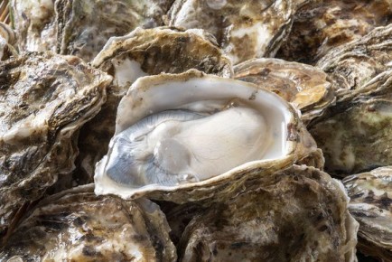 �������� ���� �� ��������: ��� ����� �����, ������ ��� �����������