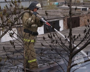 � ������� ��������� �������� ������� � ������ � ��������� ����������