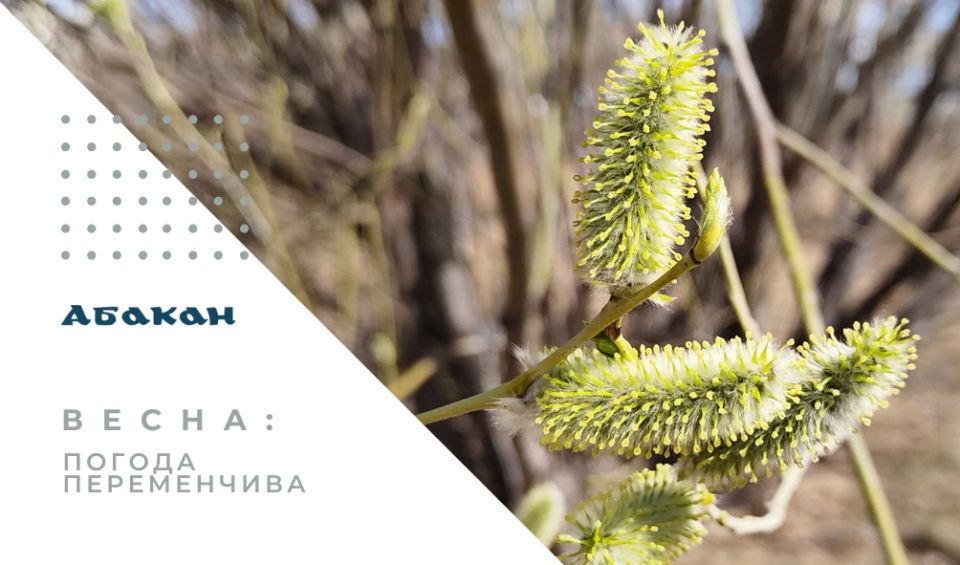 16 ������ 2026 ���� ������� �� ���������� ������� ��������� ������ ������-��������� ����� 15-18 �/�; �� ���������� ����������� � ����-����������� ������� ���������� ������� 15 ������ 2026 ���� ��������� 3 ����� ��������...