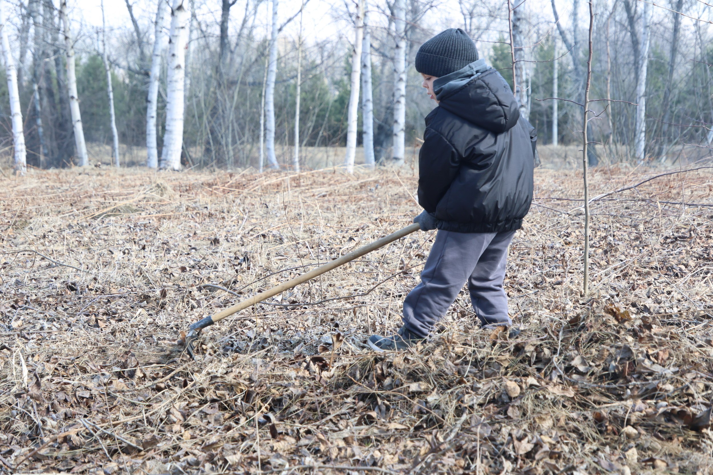 Генеральная уборка Абакана: субботник в ПКиО Генеральная уборка Абакана: субботник в ПКиО