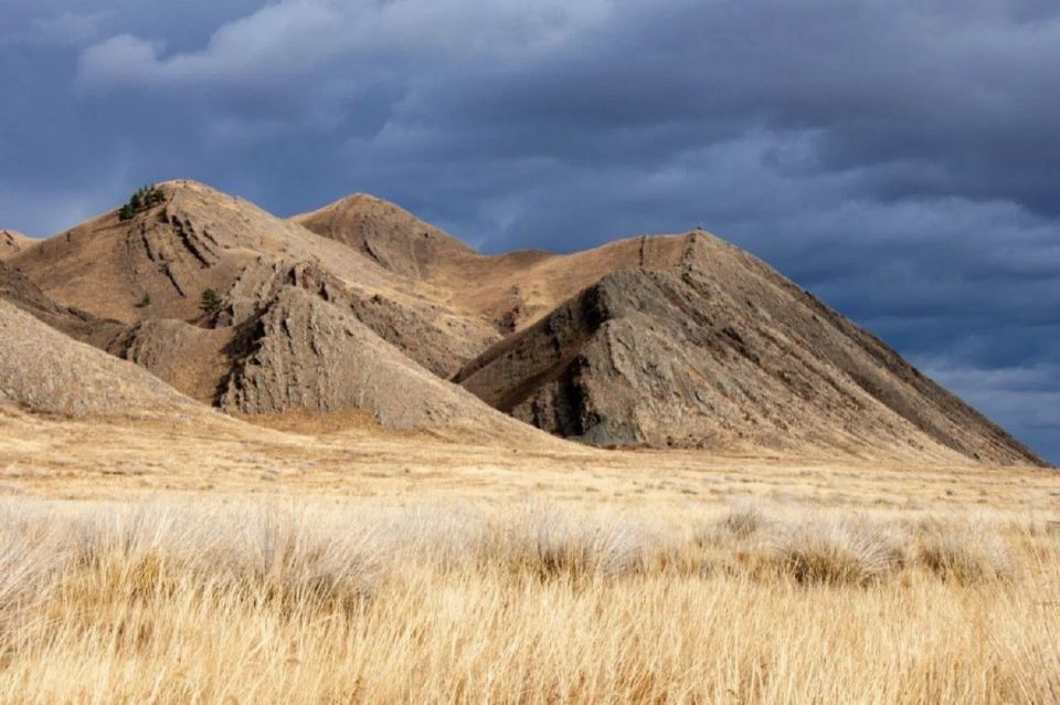 ����� ��������� �� ����� ���������� ��������� ����������� ����������� � �������