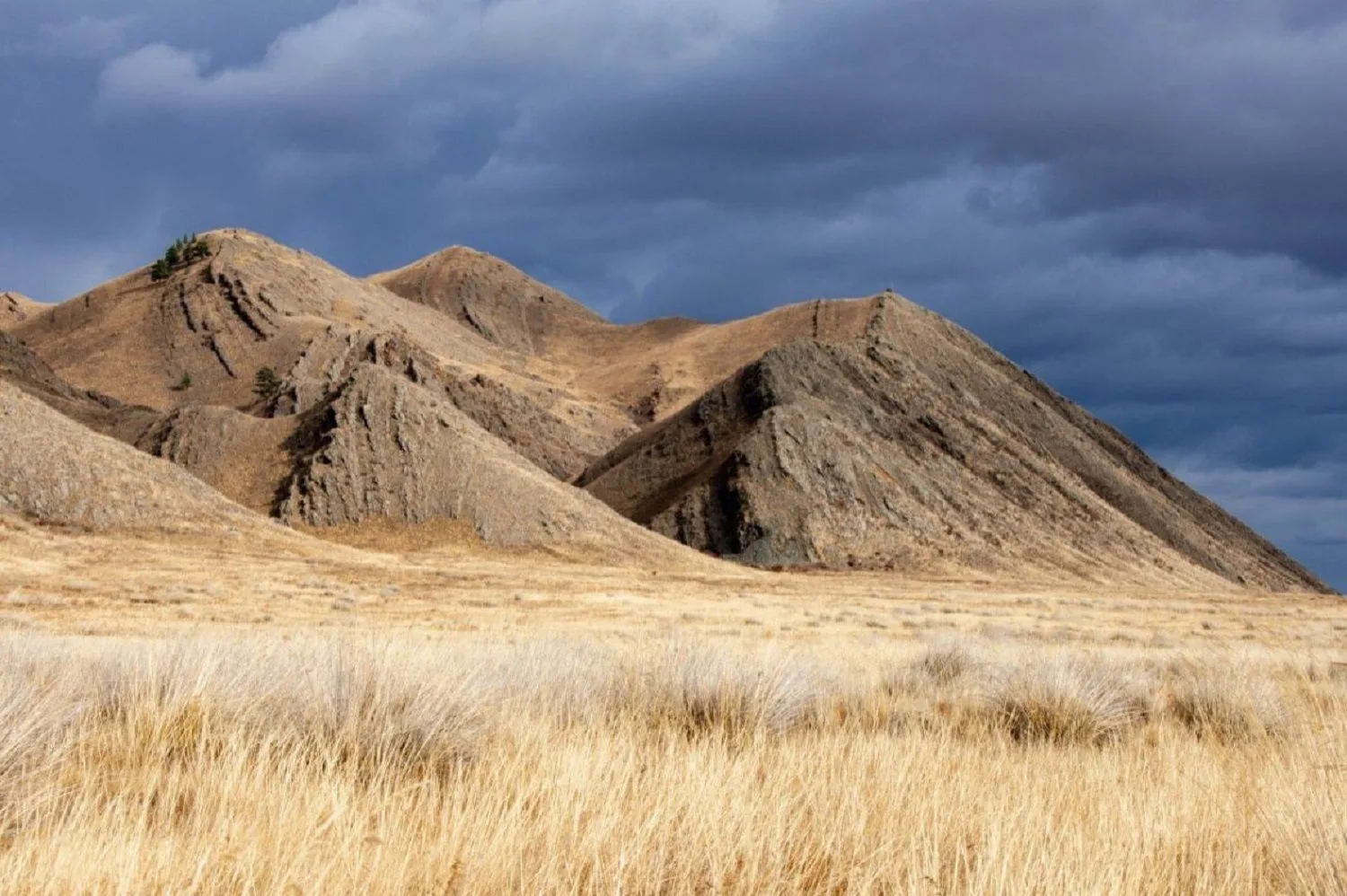 Сезон экскурсий на особо охраняемых природных территориях открывается в Хакасии