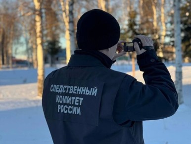 В Ачинске возбуждено уголовное дело по факту совершения хулиганских действий в отношении несовершеннолетнего