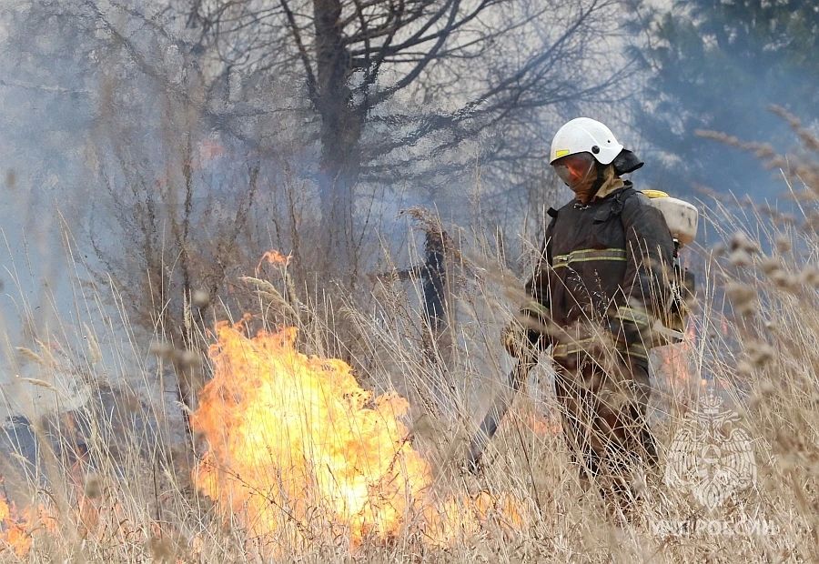 ������ ������ �������� �� ����� � �������