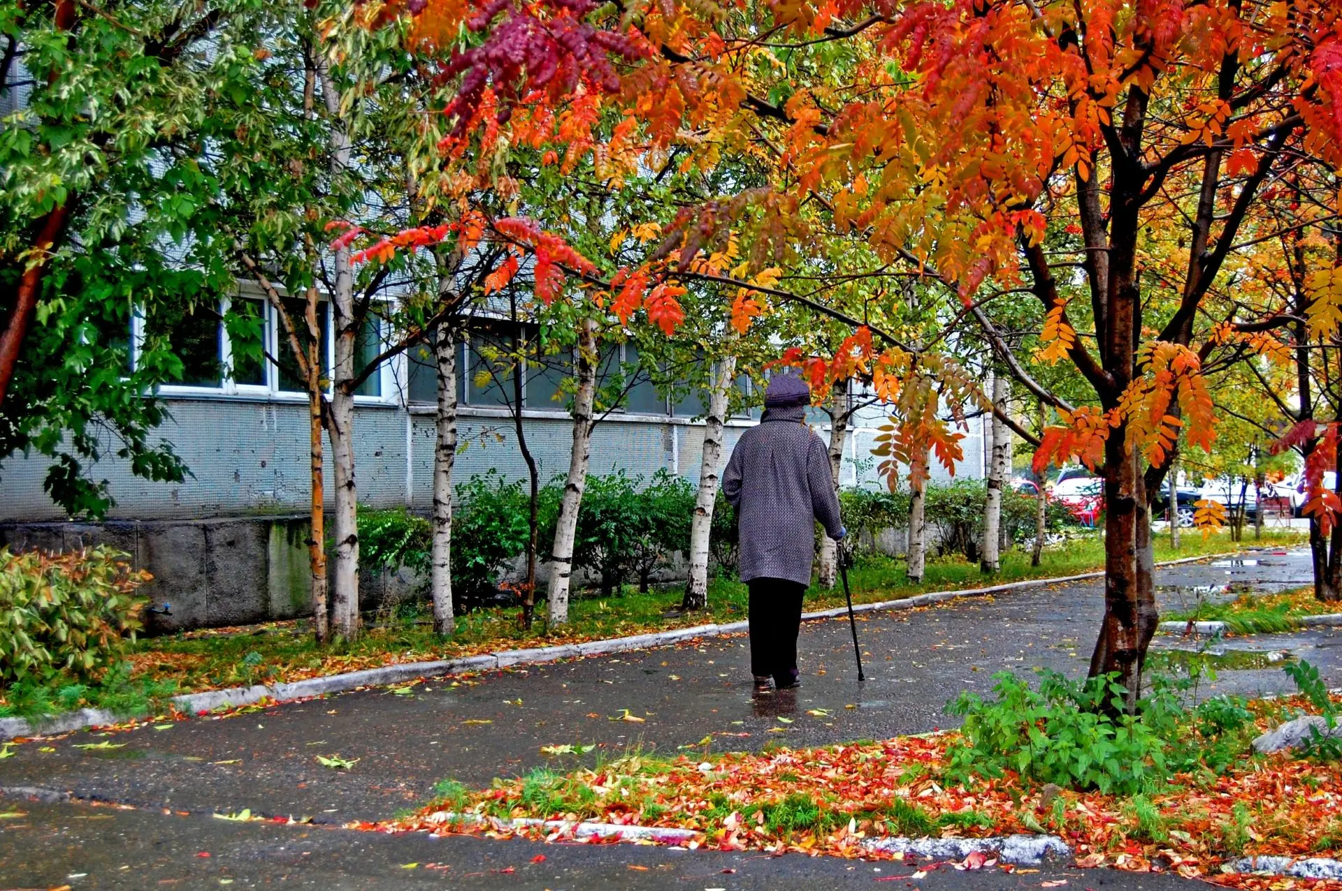 Первая телефонная станция в Абакане появилась на территории будущего города Абакана, по разным данным, в 1926 или 1927 году. В 1948 году в Абакане была установлена первая АТС Первая телефонная станция в Абакане появилась на территории будущего города Абакана, по разным данным, в 1926 или 1927 году. В 1948 году в Абакане была установлена первая АТС