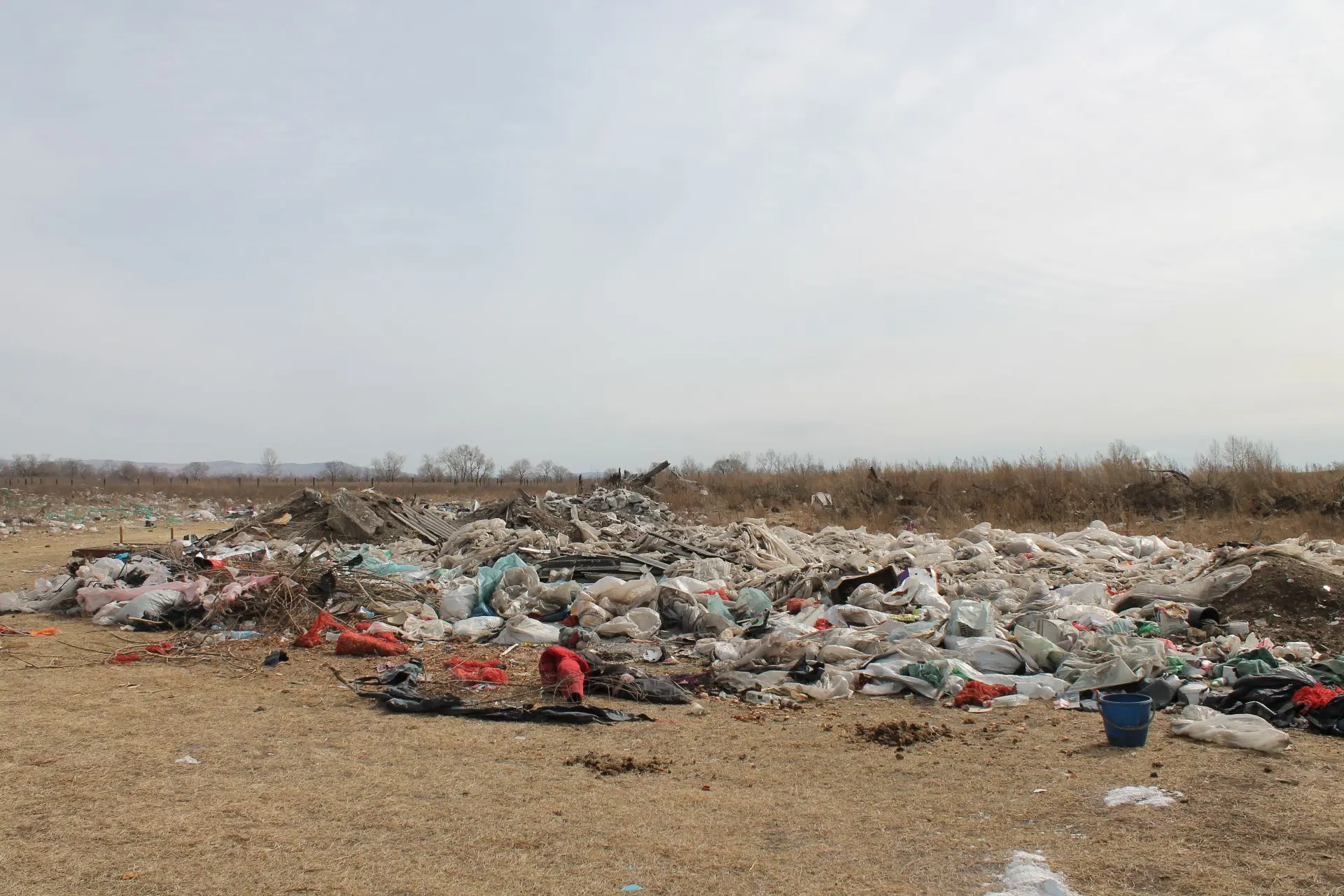 Загрязнила территорию: в Хакасии хозяйка участка проигнорировала предупреждения надзорников