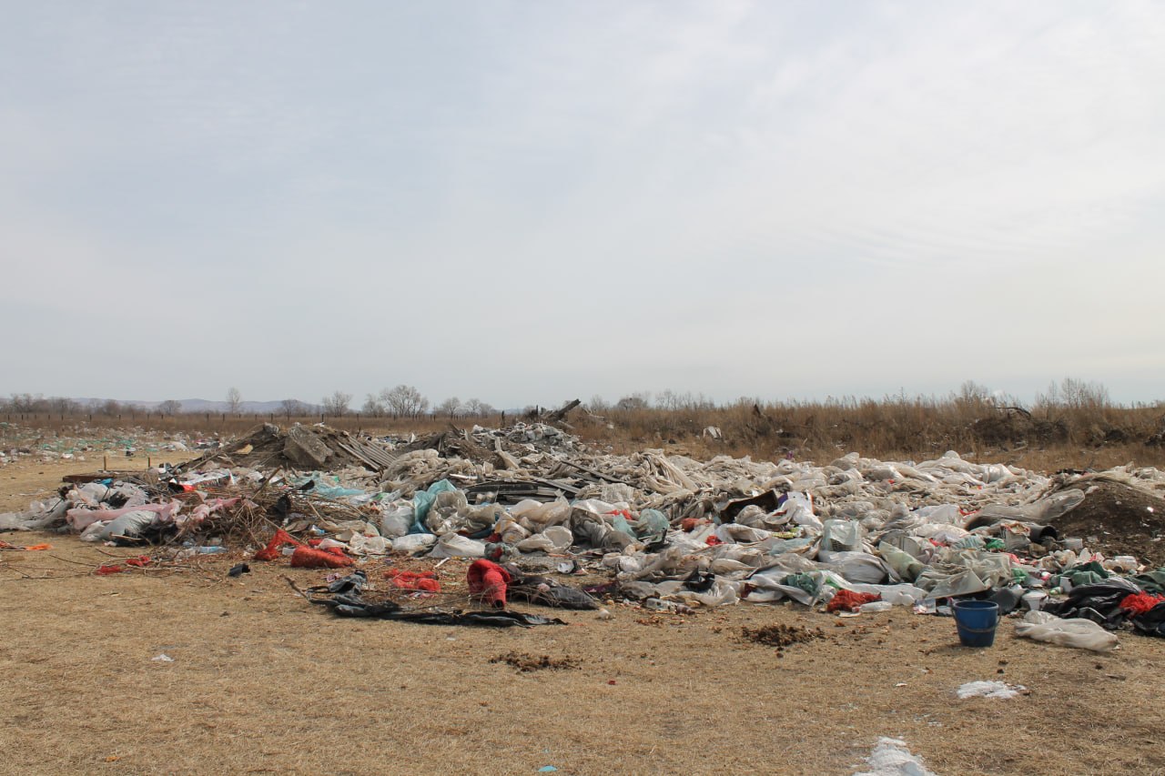 Свалка в 3 тысячи квадратных метров разрослась в Усть-Абаканском районе, Россельхознадзор выдал собственнику участка предписание Свалка в 3 тысячи квадратных метров разрослась в Усть-Абаканском районе, Россельхознадзор выдал собственнику участка предписание