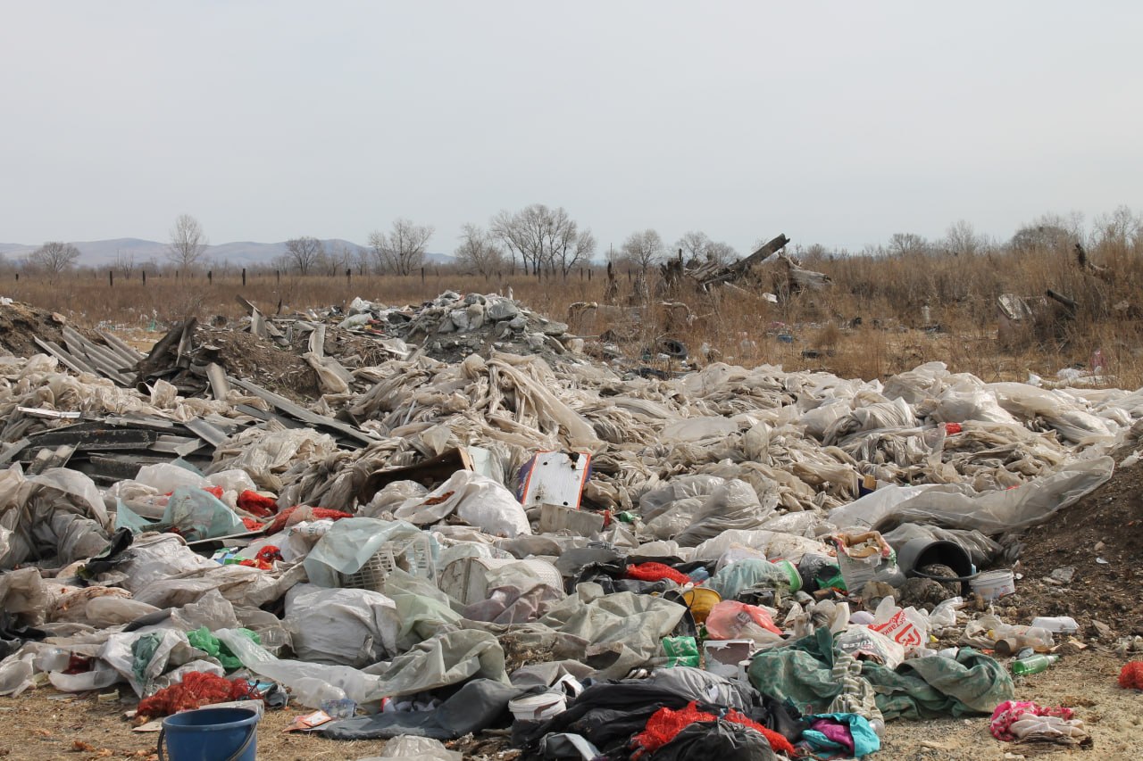 Свалка в 3 тысячи квадратных метров разрослась в Усть-Абаканском районе, Россельхознадзор выдал собственнику участка предписание Свалка в 3 тысячи квадратных метров разрослась в Усть-Абаканском районе, Россельхознадзор выдал собственнику участка предписание
