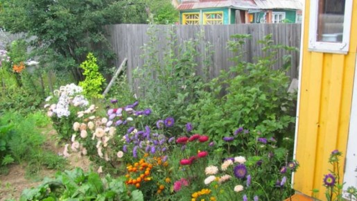 ��� �������� ������ �������� ������ �������� �������