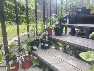 ��������� ������ �������� ���� ������: ���� ������ ���������