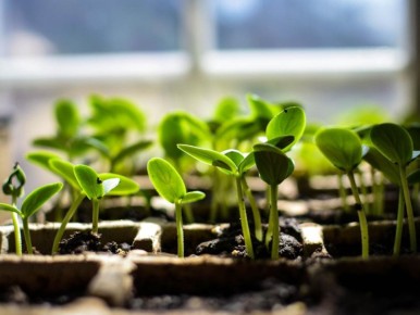 ��� ��������� �������������� ����� ��� ������� � �����������: ������ ���������