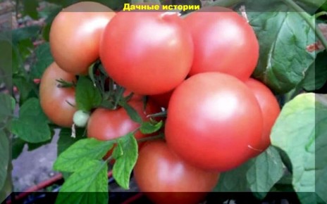 ����� ������ ����������� ������: ������ ����� ��� �������� ������