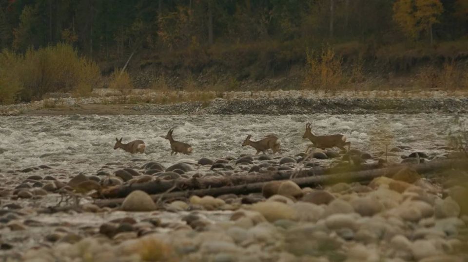 �� 2 ������ �������� ������ �� ��������� ��������� �������� ���������� ����� ��������� � ���������� ������