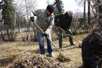 ���������� ���������� ������ ������� ������� � ����������