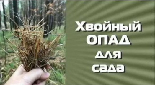 ������� ����: ������� �������������������� ������������� � �����������