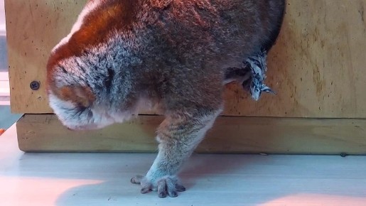 ��������� ���� � ��� ����� ������������, ����������