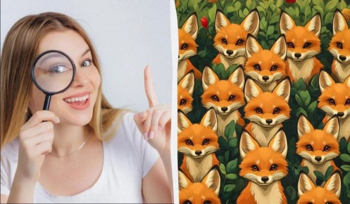 ������� ������ ����� �����: ��������� ���� �������������� �� 5 ������