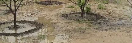 ��� ���������� � �������� ���������� ������ �� ���������� �������