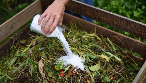 ��� ��������� �������� �������, ����� �������� ��������� ����� ������