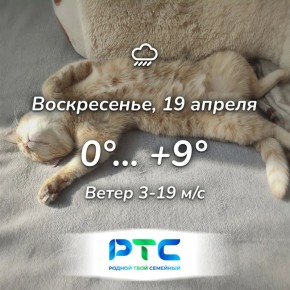 ������ ����, �������!