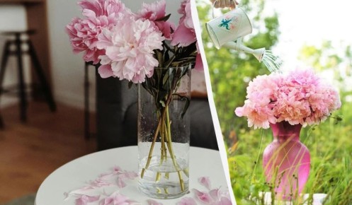 ��� ��������� ��������� ����� ������� �� ���������� ���� ������