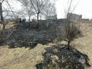 ������� ������� � �������: 27 ���������� �� ��������