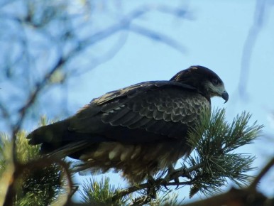 ׸���� ������� ��������� �� �� ������