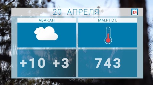 ������ ����